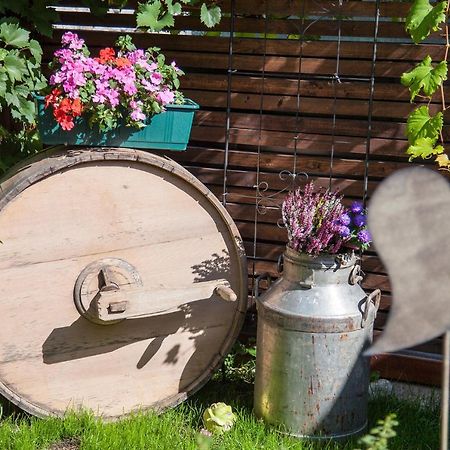 Ferienwohnung Bei Cooldog Имст Екстериор снимка