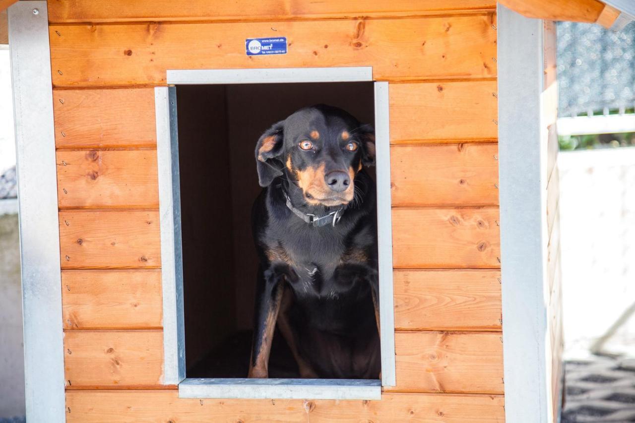 Ferienwohnung Bei Cooldog Имст Екстериор снимка